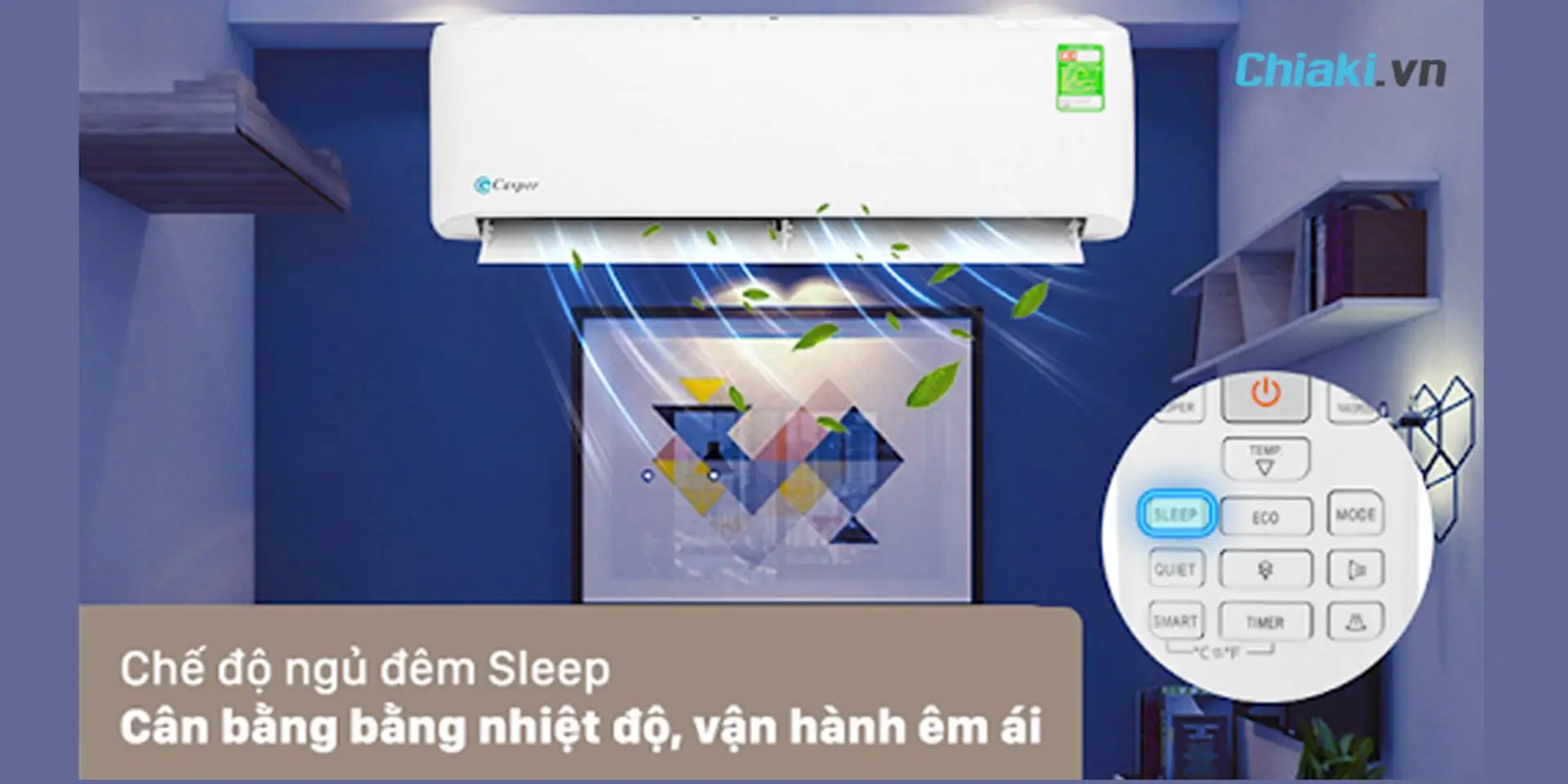 chế độ sleep